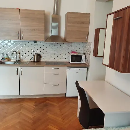 Fazarinc With Parking, Wellness And Store In The Center Of * Celje