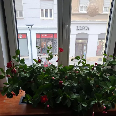 Fazarinc With Parking, Wellness And Store In The Center Of Celje