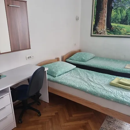 Fazarinc With Parking, Wellness And Store In The Center Of * Celje