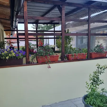 Fazarinc S Parkiriscem Apartment *