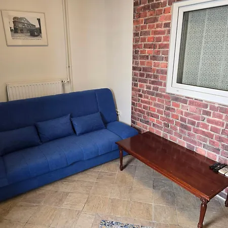 Fazarinc With Parking, Wellness And Store In The Center Of * Celje