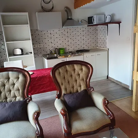 Fazarinc With Parking, Wellness And Store In The Center Of *