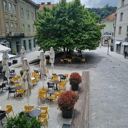 Fazarinc With Parking, Wellness And Store In The Center Of Apartman