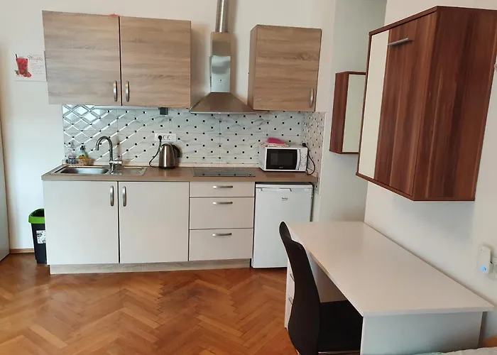 Fazarinc With Parking, Wellness And Store In The Center Of * Celje