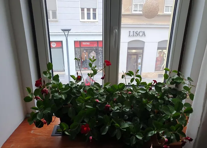 Fazarinc With Parking, Wellness And Store In The Center Of ツェリェ