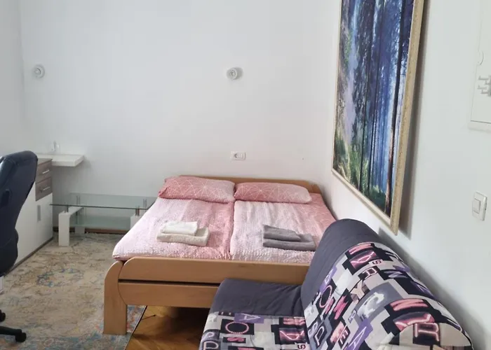 Apartament Fazarinc With Parking, Wellness And Store In The Center Of Celje