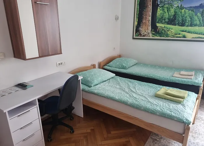 Fazarinc With Parking, Wellness And Store In The Center Of * Celje