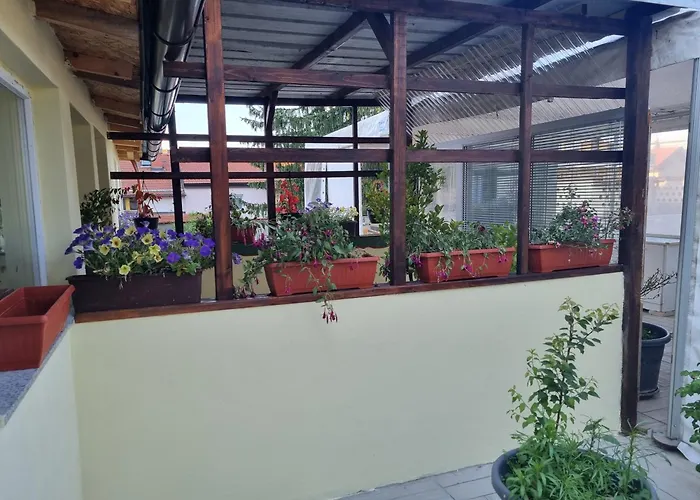 Fazarinc With Parking, Wellness And Store In The Center Of Appartamento *