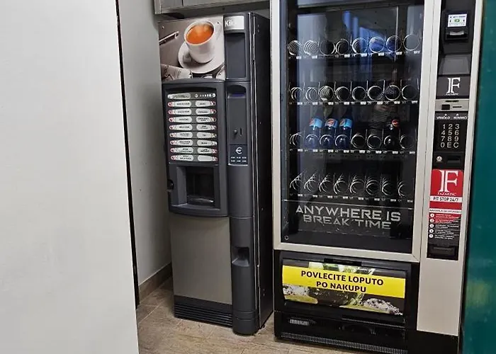 Apartament Fazarinc With Parking, Wellness And Store In The Center Of Celje