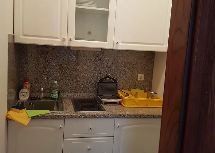 Fazarinc With Parking, Wellness And Store In The Center Of * Celje