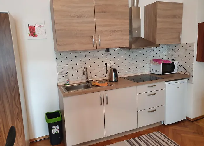 Fazarinc With Parking, Wellness And Store In The Center Of Appartamento