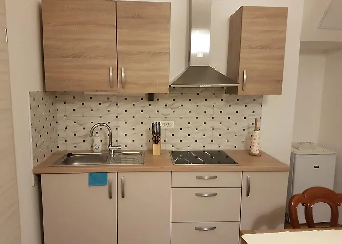 Fazarinc With Parking, Wellness And Store In The Center Of Apartament