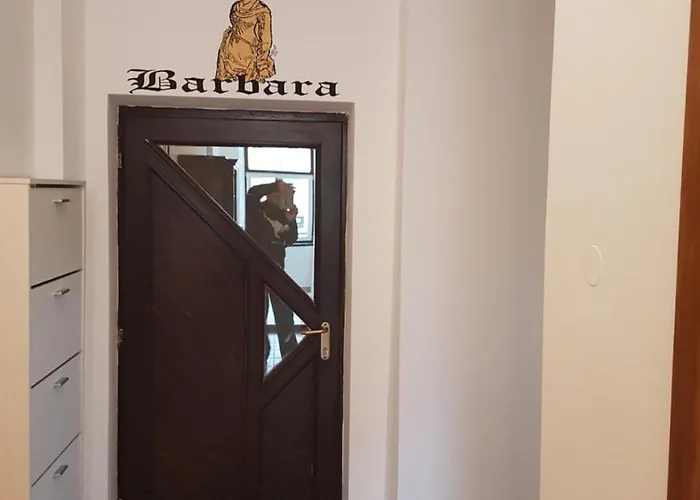 Fazarinc With Parking, Wellness And Store In The Center Of Appartamento